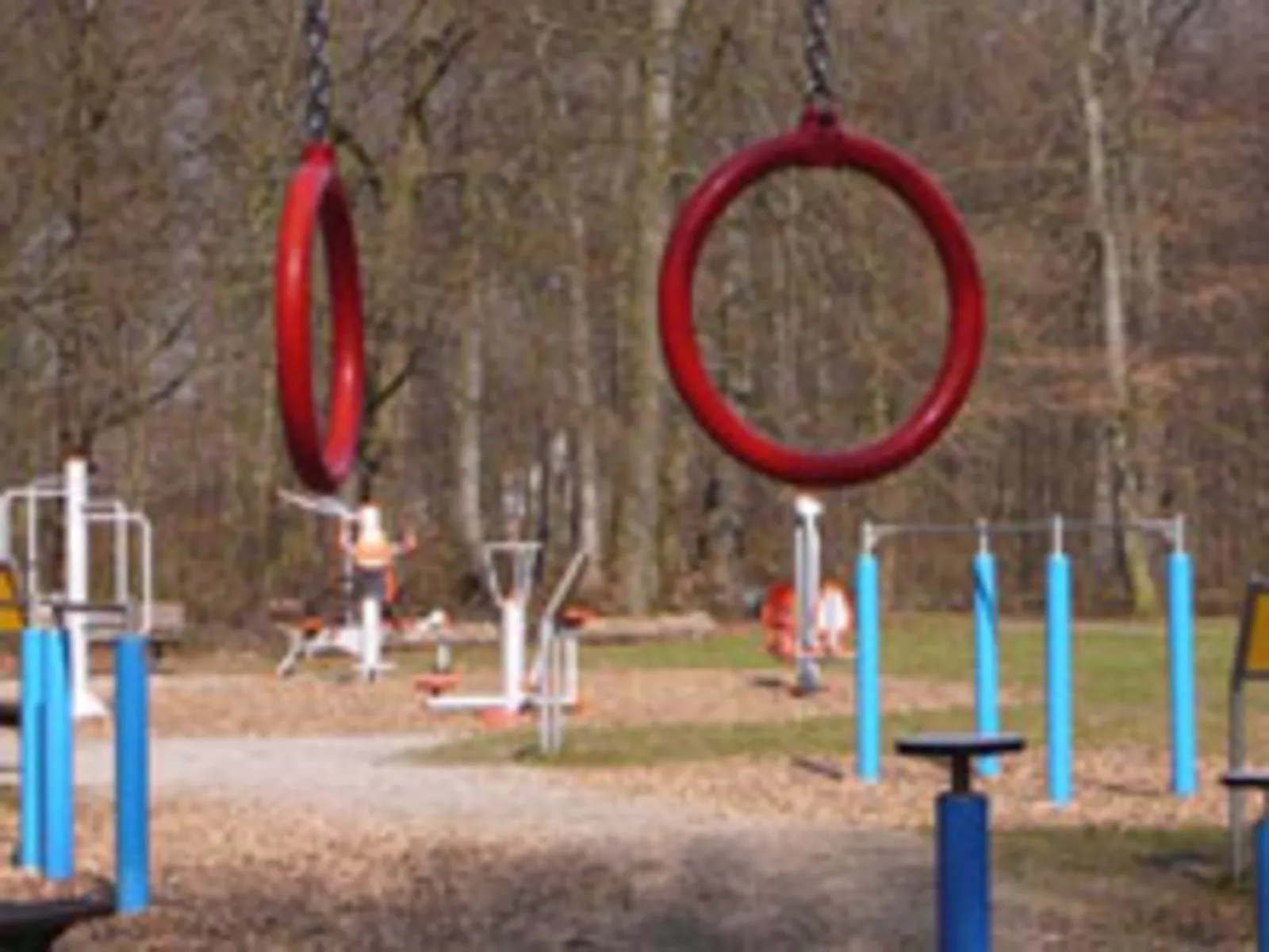 Fitnesswiese in der Eilenriede