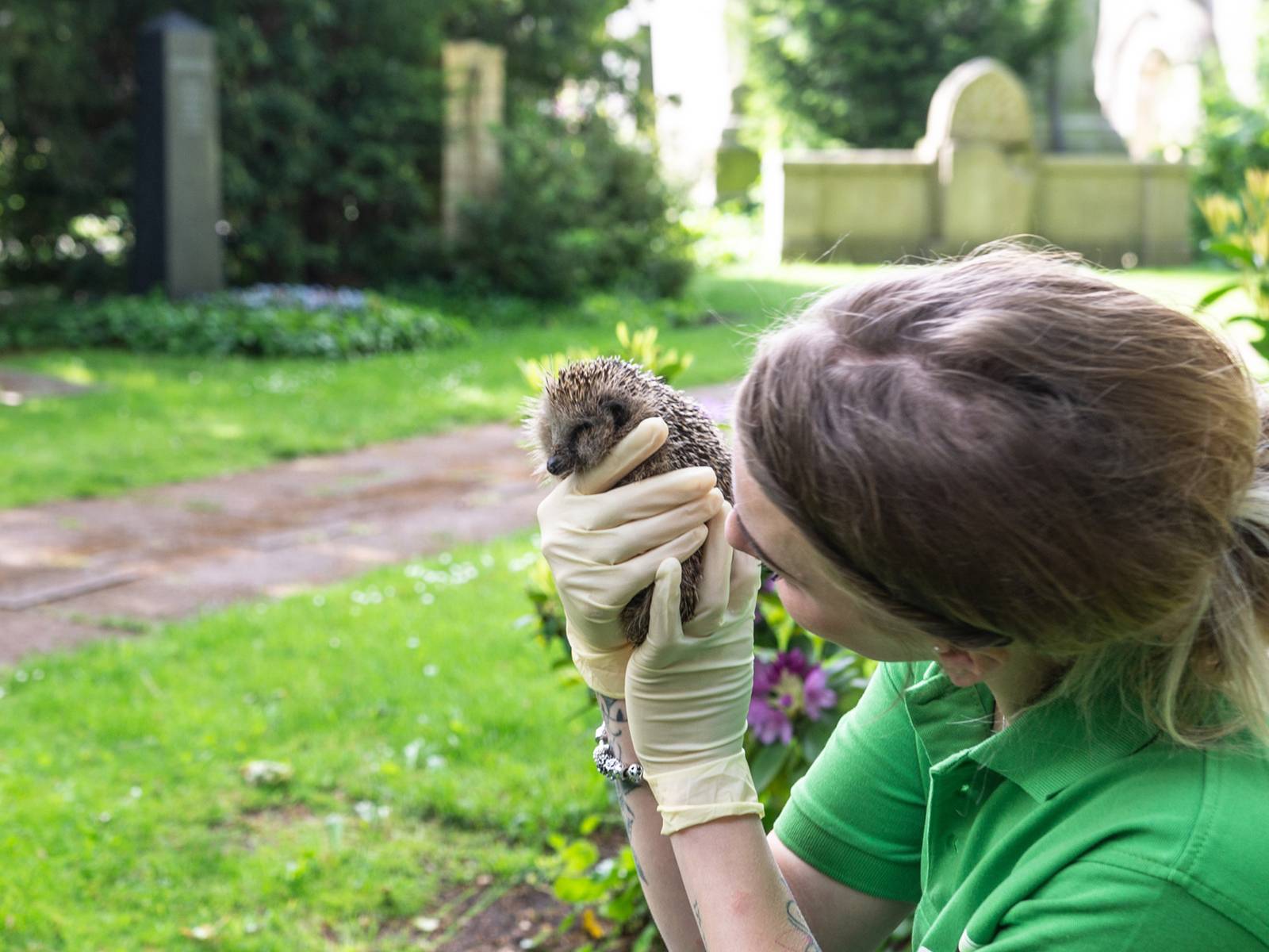Eine Frau hält einen Igel in den Händen