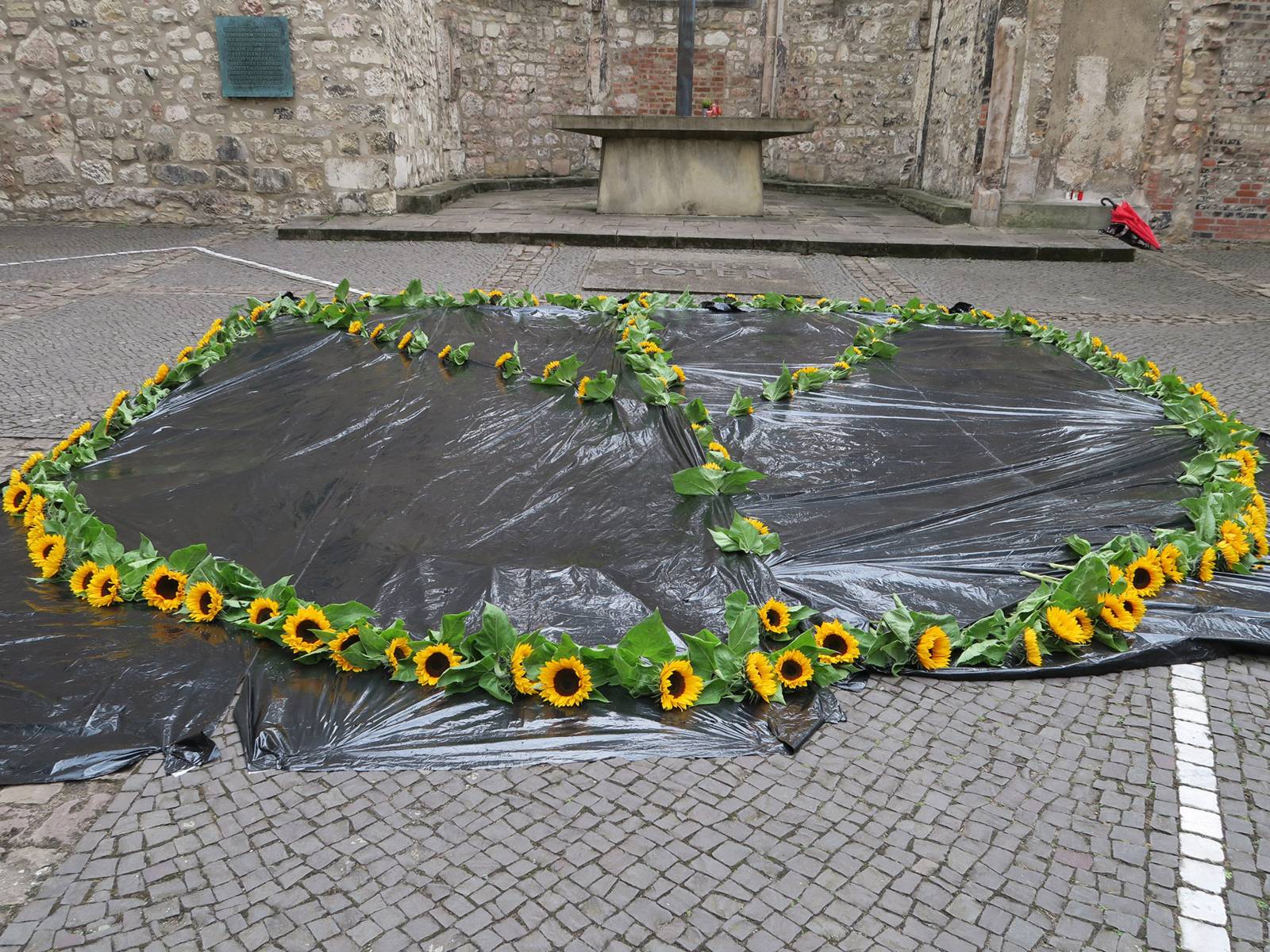 Im Innenhof der Ruine der Aegidienkirche liegen vor dem Altar Sonnenblumen in Form des Friedenszeichens.