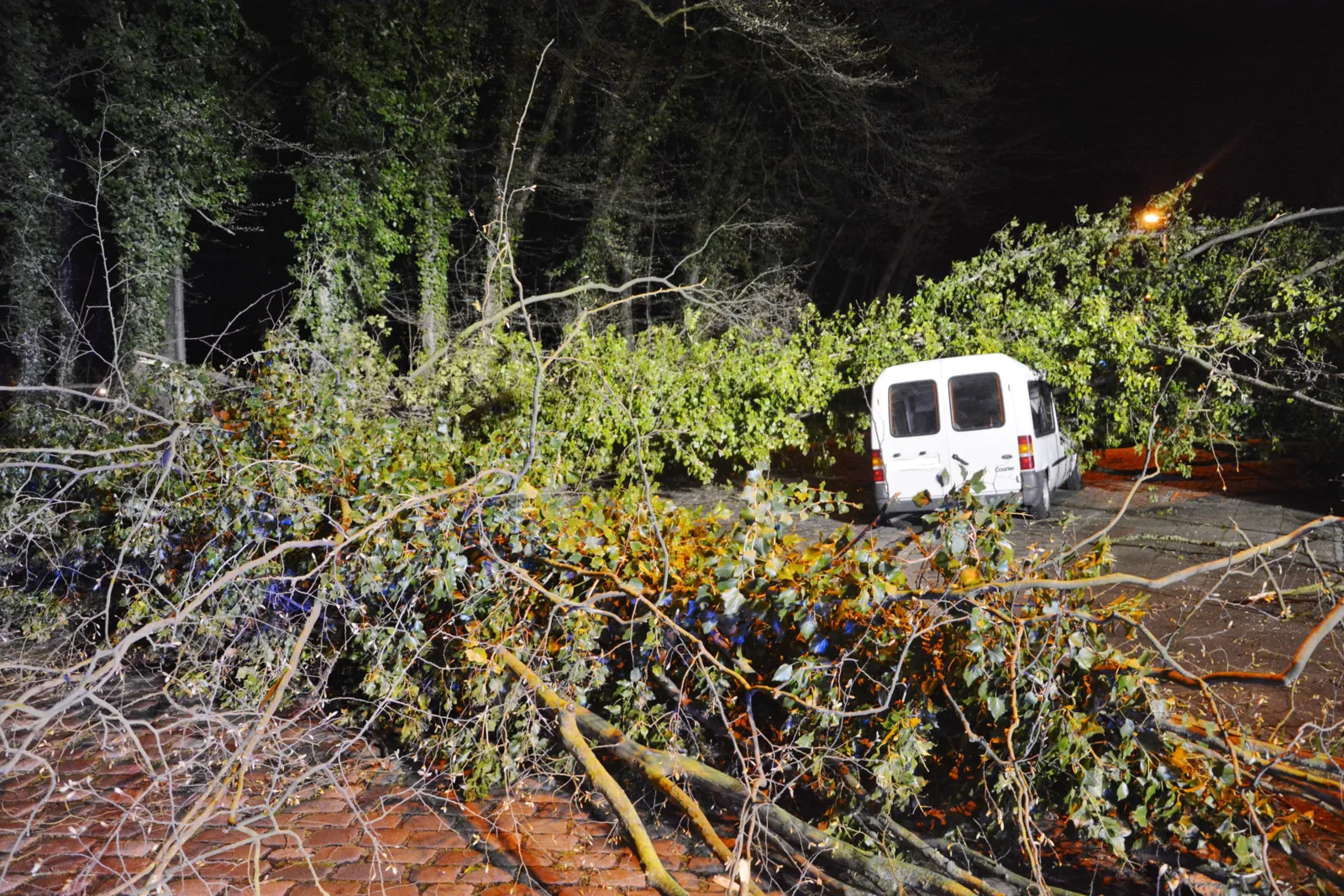 Sturmschaden durch einen umgestürzten Baum 