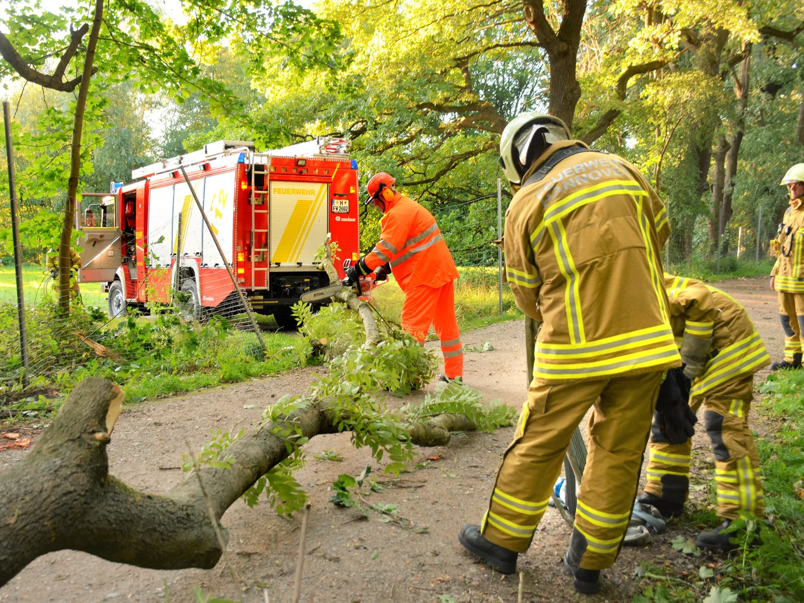 Mehrere Einstzkräfte beseitigen einen umgestürzten Baum. Im Hintergrund ein Löschgruppenfahrzeug 20/16-KatS.