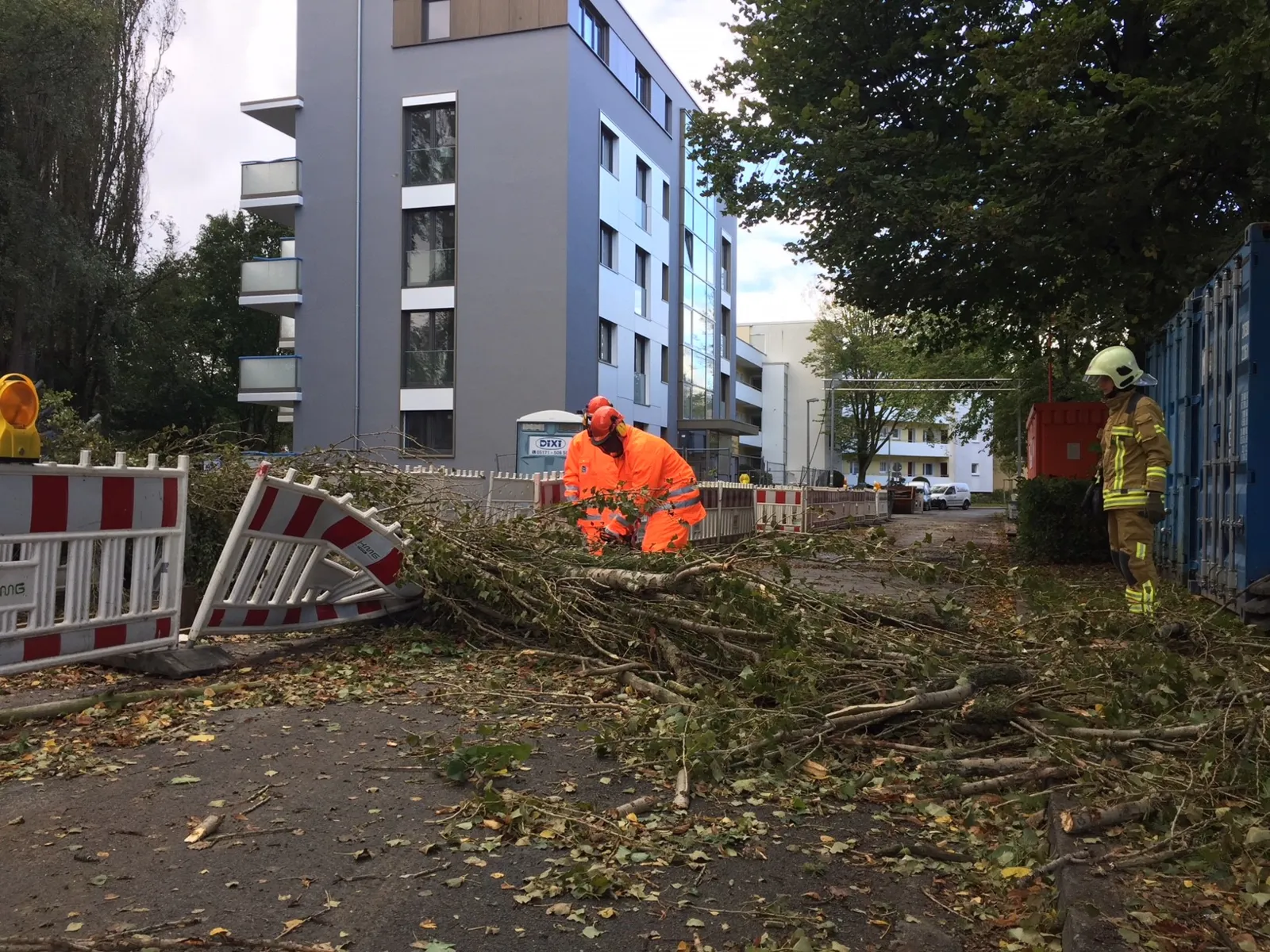 Kettensägeneinsatz in Misburg-Nord