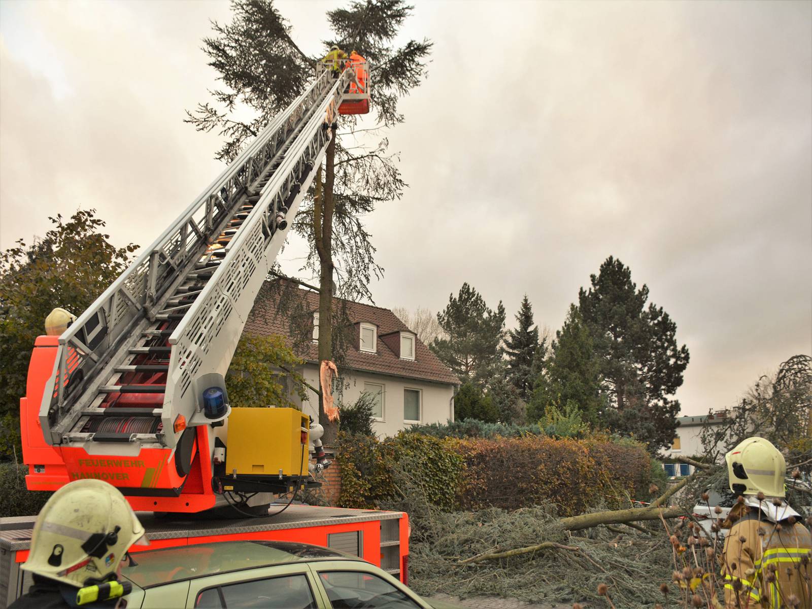 Mehrere Einsatzkräfte der Feuerwehr Hannover, fällen kontrolliert einen, durch den Sturm stark beschädigten Baum.
