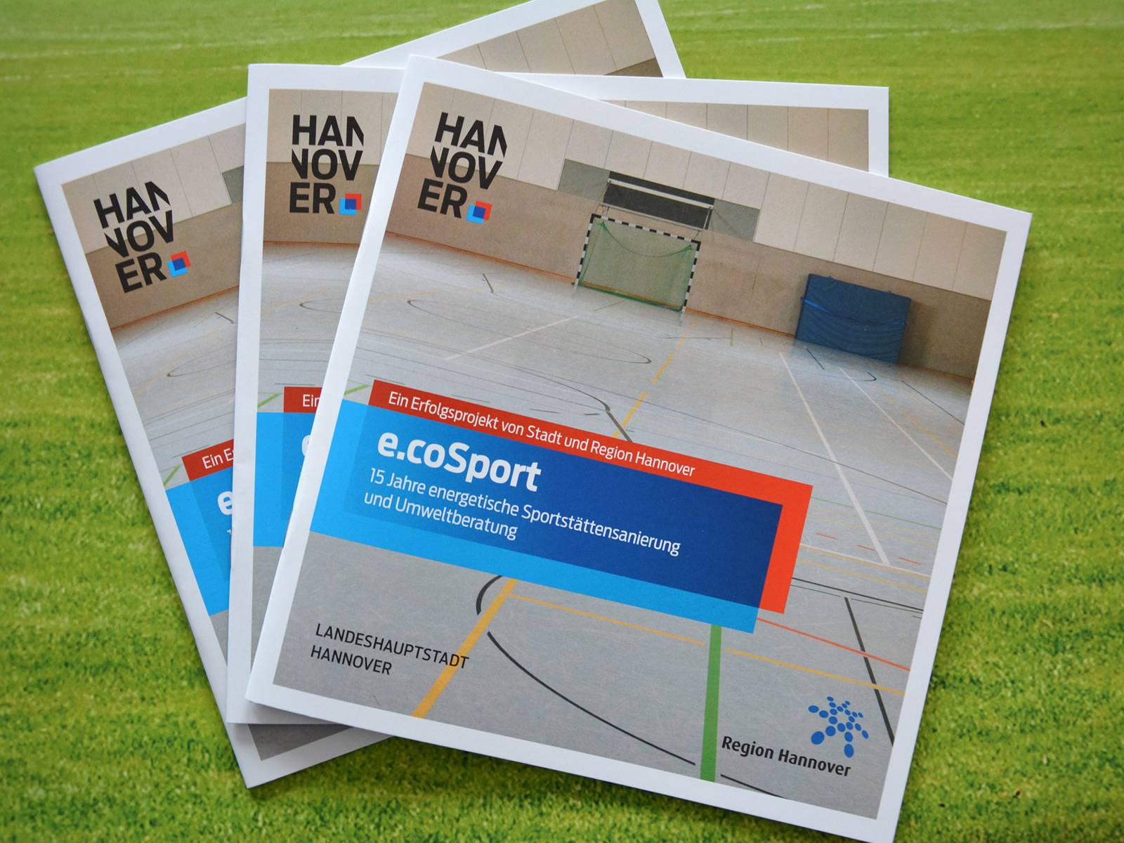 Broschüren mit dem Titel "e.coSport - 15 Jahre energetische Sportstättensanierung"