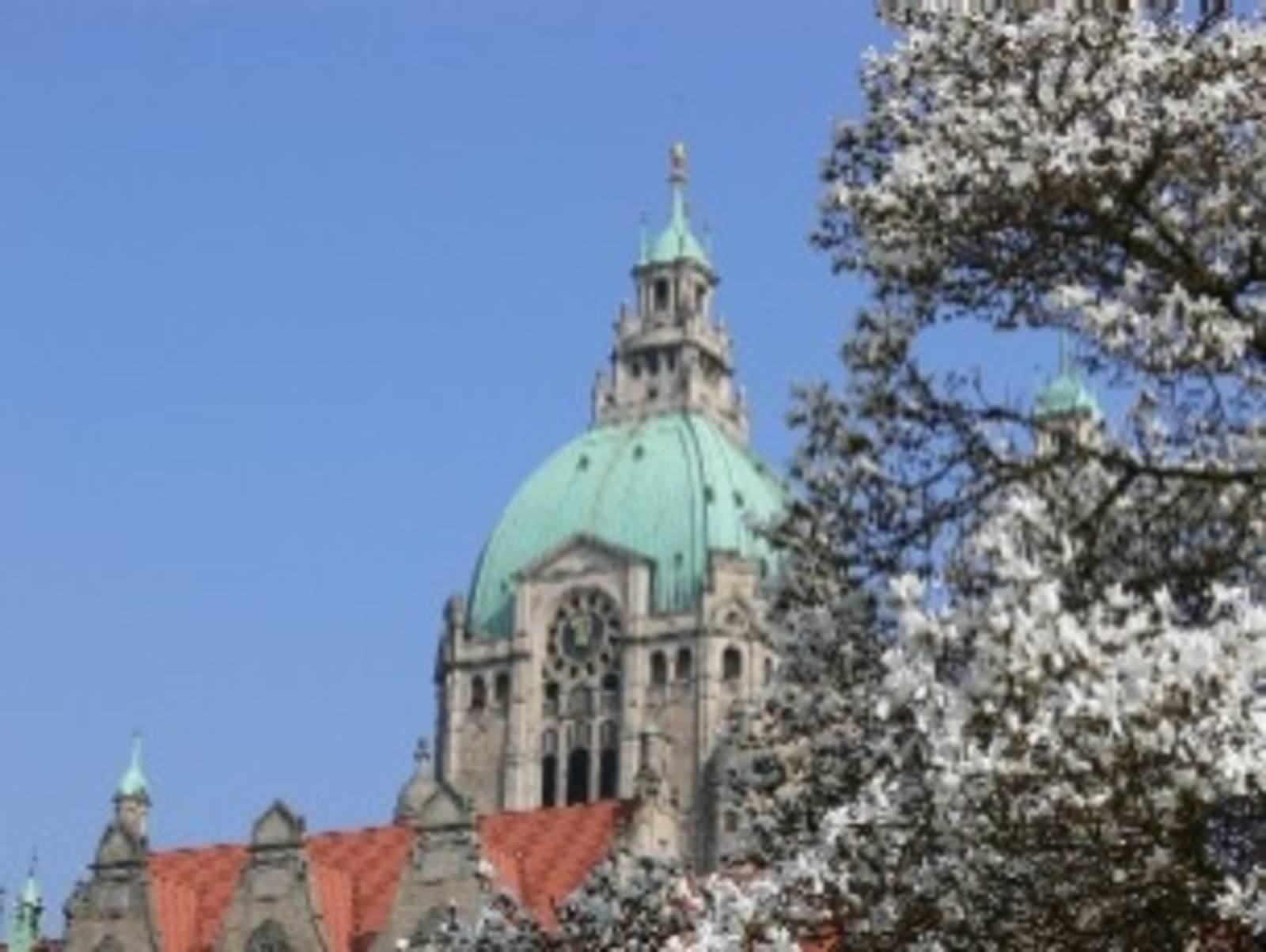 Rathauskuppel vor blauem Himmel mit Magnolien