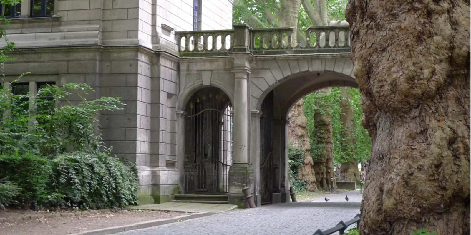 Park von außen.