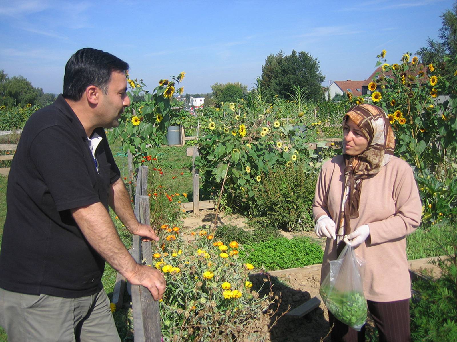 Eine Frau steht mit einem Beutel frisch geerntetem Gemüse in einem Kleingarten und unterhält sich über den Gartenzaun mit einem Mann.