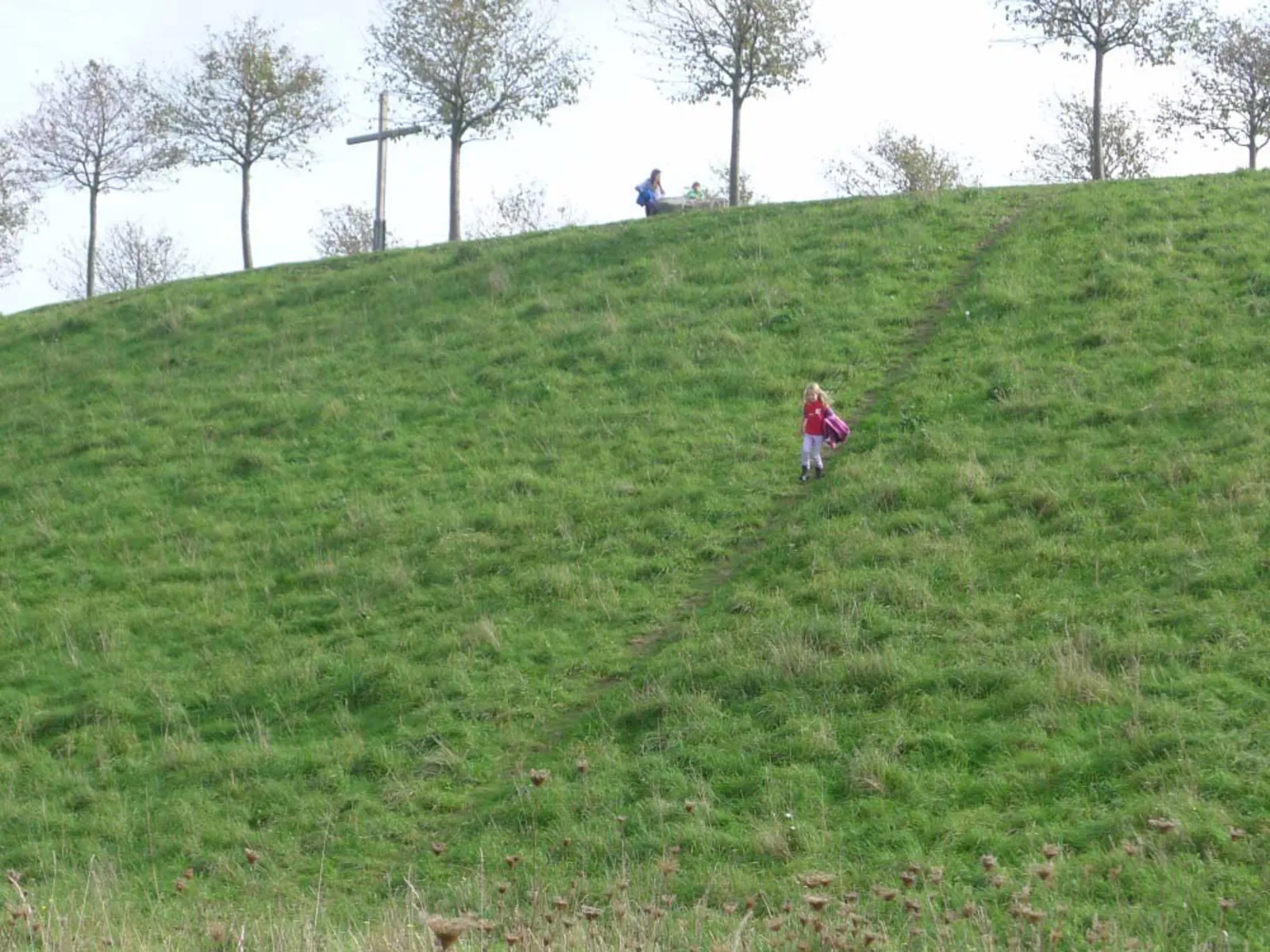 Grüner Berg.