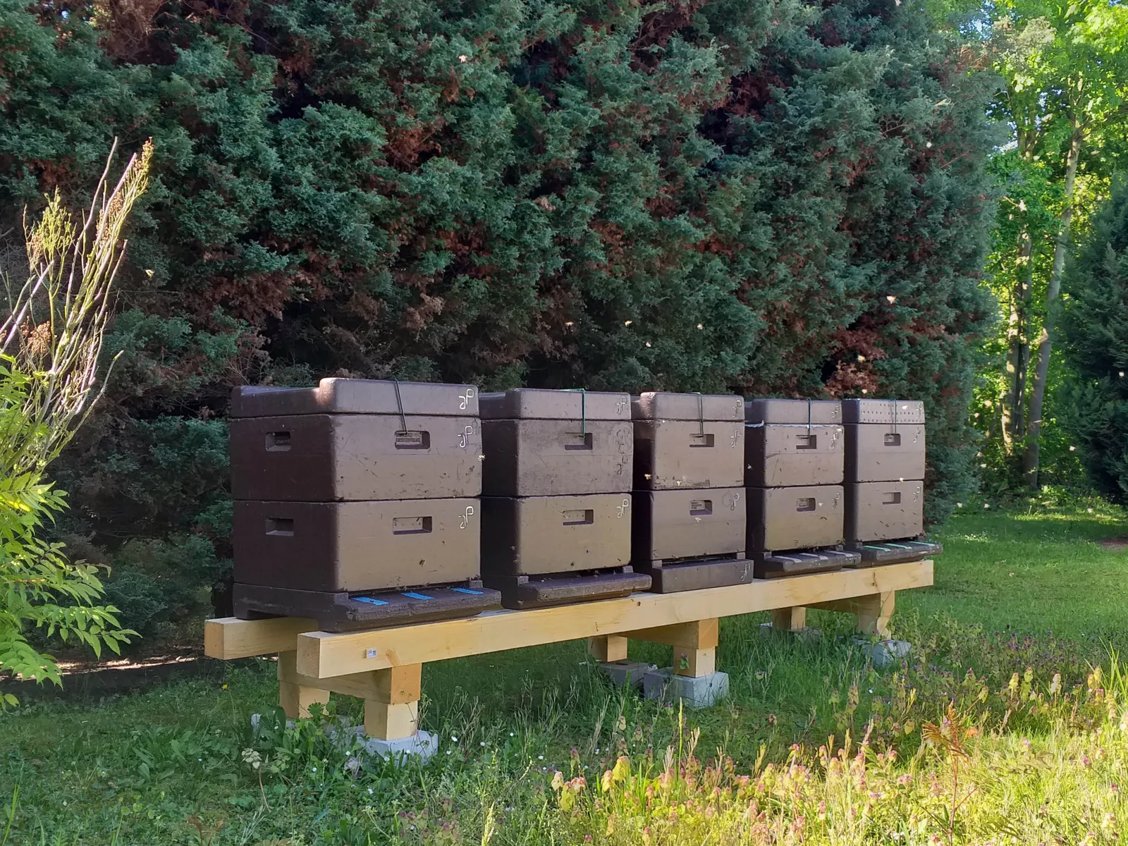 Bienenstöcke. 