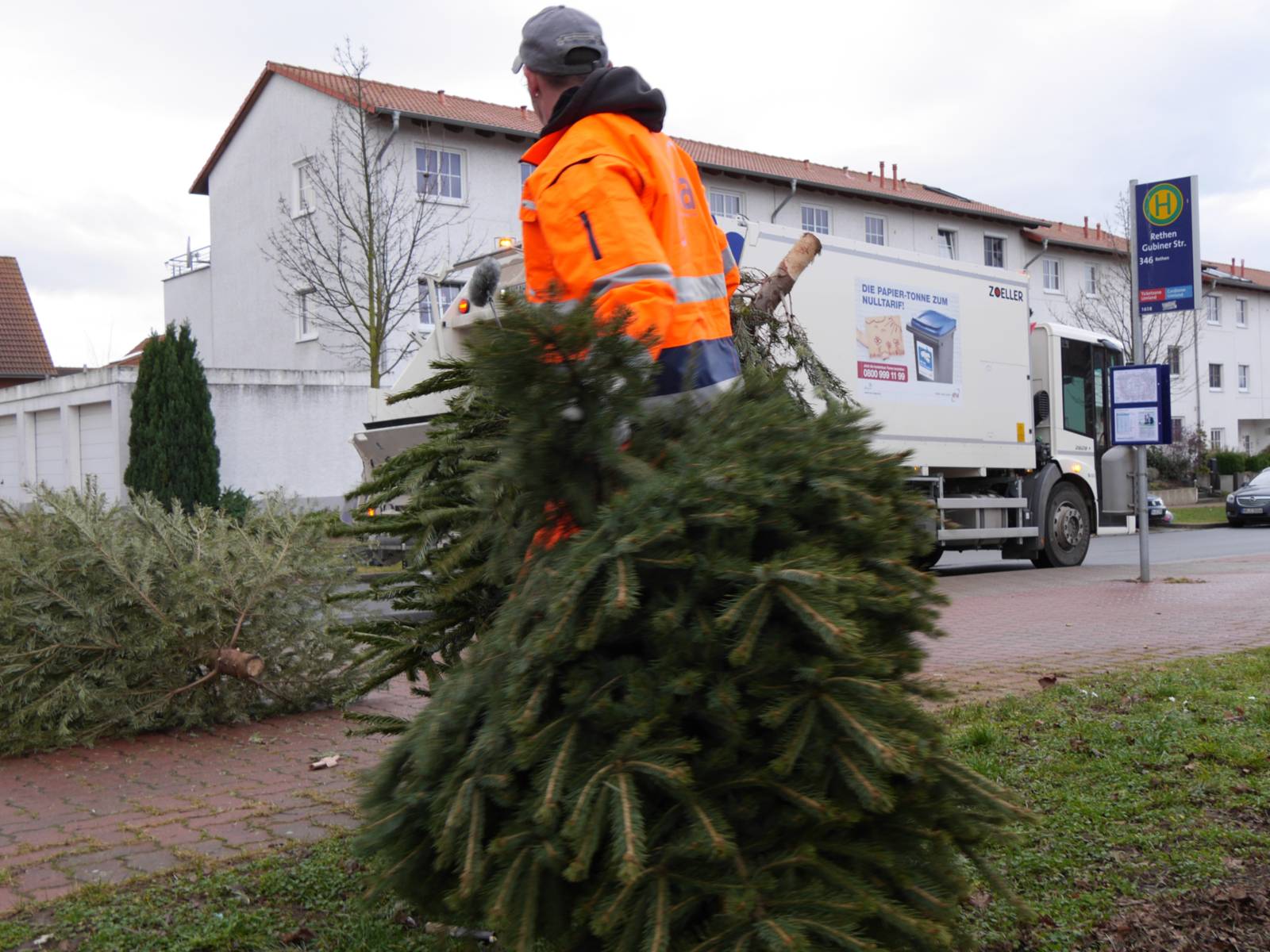Ein Mann in ornager Warnkleidung sammelt ausgediente Weihnachtsbäume ein.