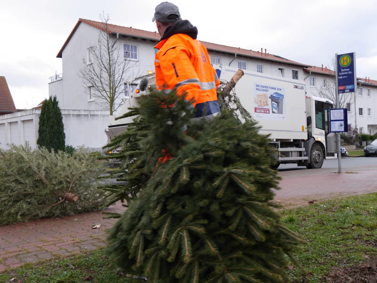 Ein Mann in ornager Warnkleidung sammelt ausgediente Weihnachtsbäume ein.