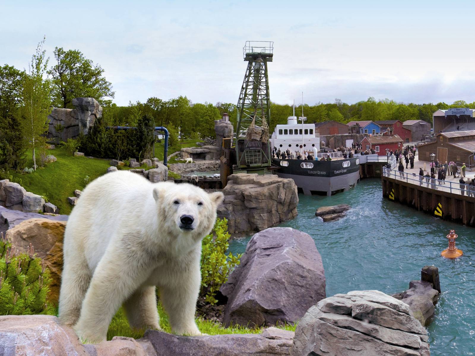 Ein Eisbär vor einem Hafenbecken. 