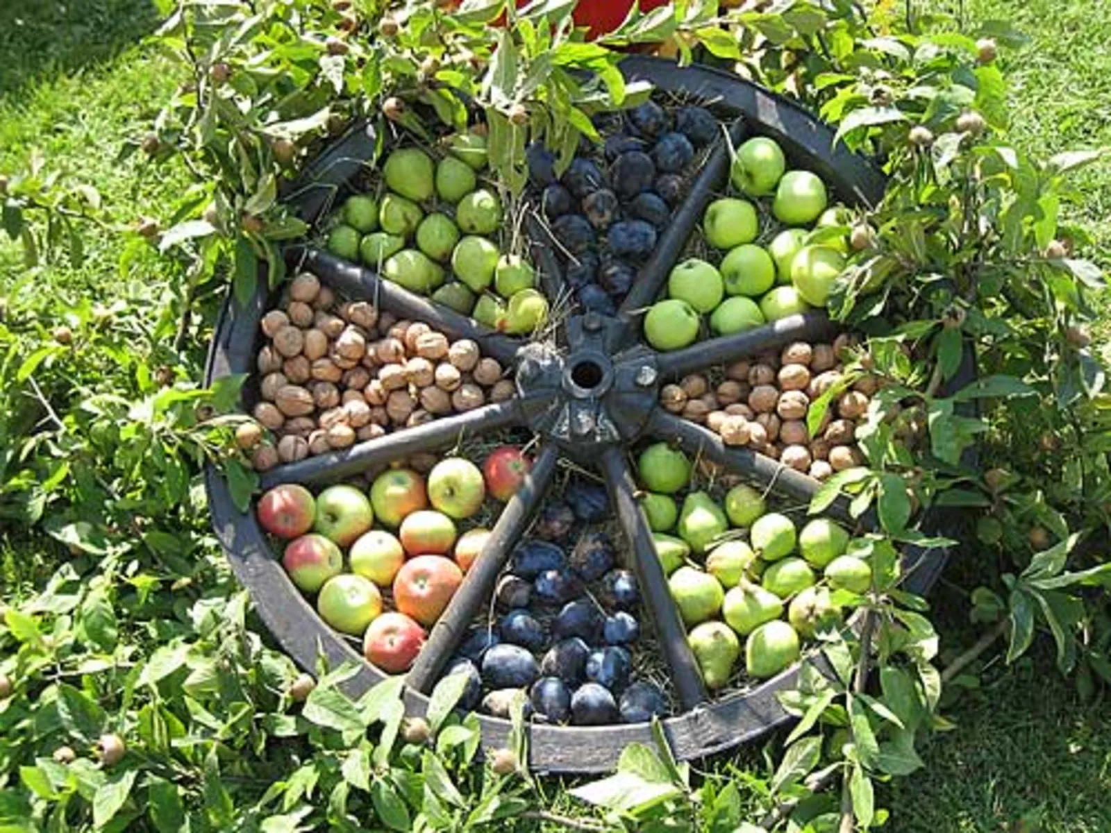 Wagenrad mit Obst