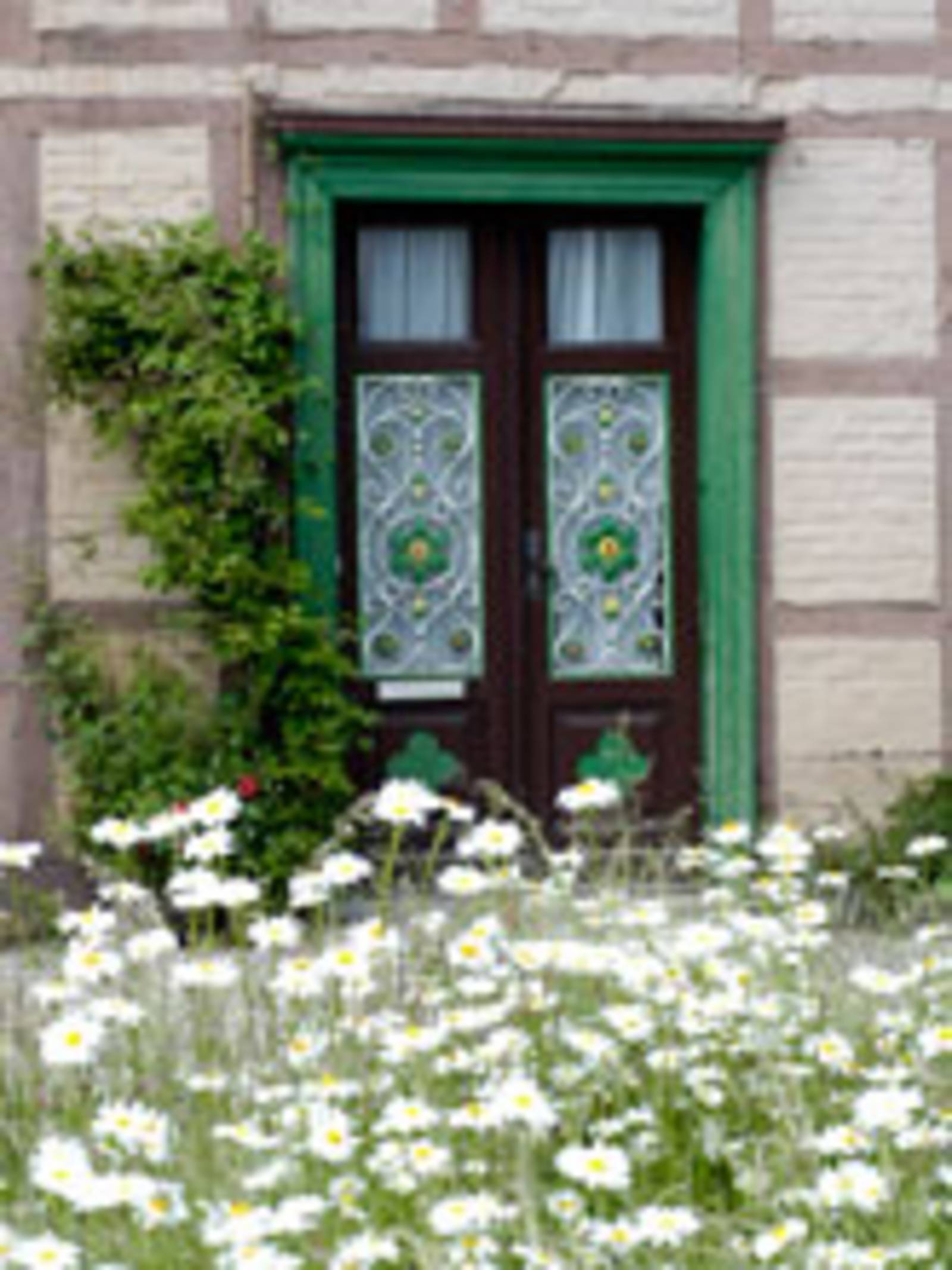 Im Vordergrund des Bildes blühen weiße Margeriten. Dahinter befindet sich eine Eingangstür eines Fachwerkhauses. Die braune Tür hat eine grünen Türrahmen. Links von der Tür befindet sich eine Rankpflanze an der Fassade.