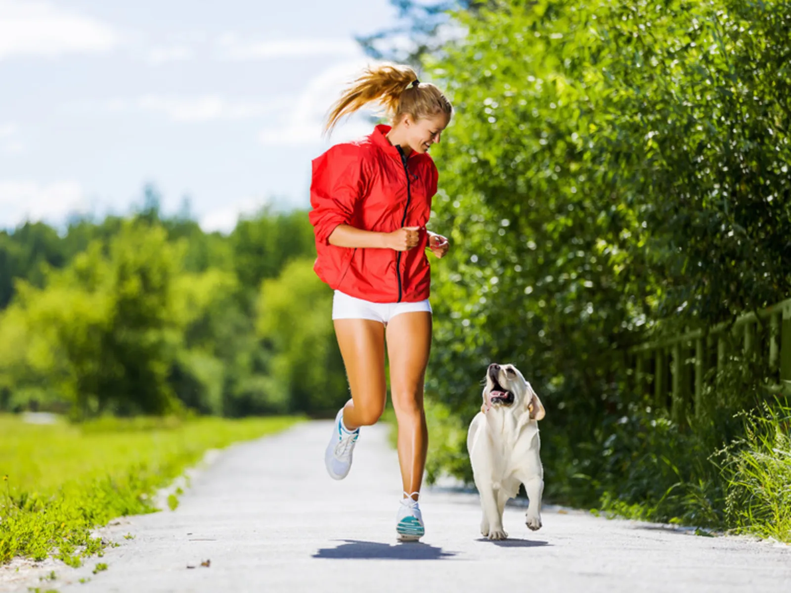 Sport mit Hund