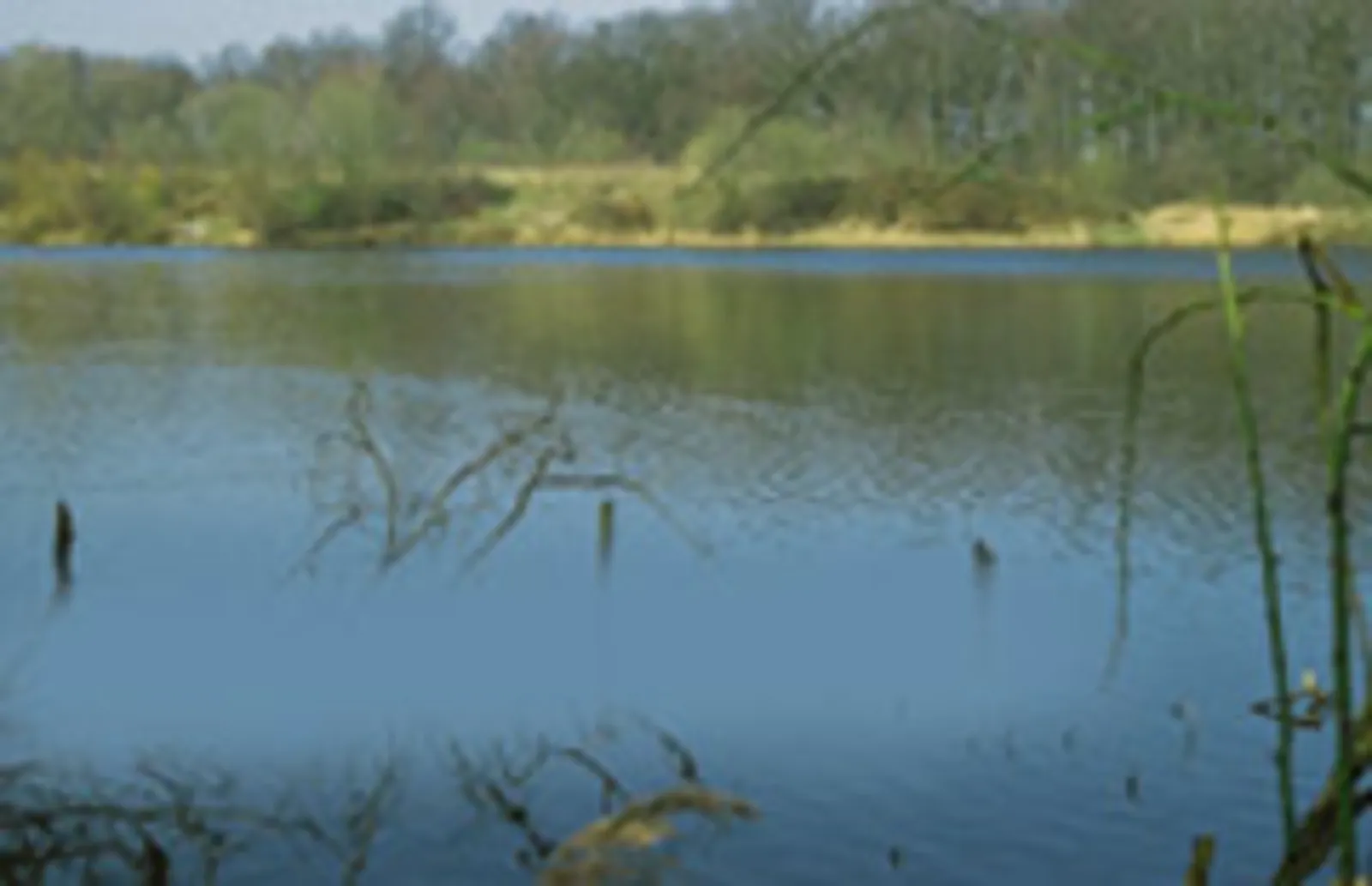 mit Wasser gefüllte Tonkuhle