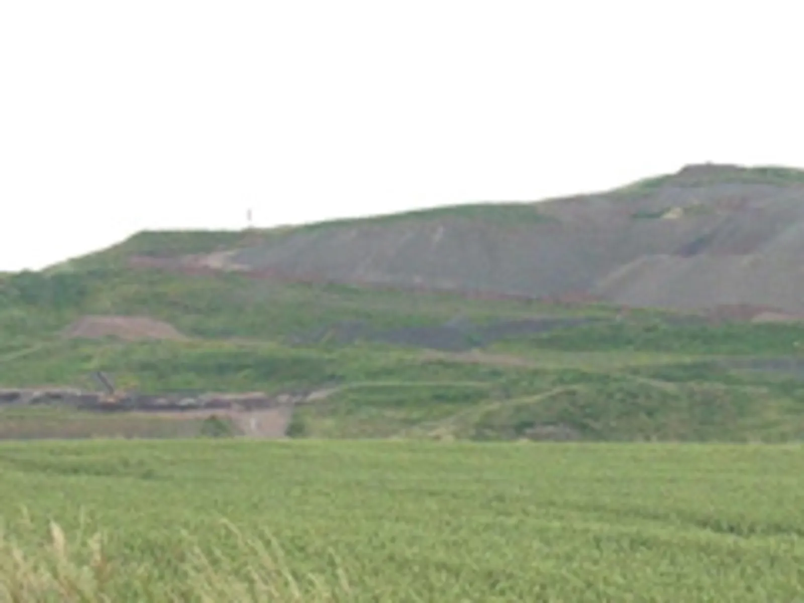 im Vordergrund Feld und Wiese, im Hintergrund die teilweise bereits begrünte Abraumhalde des ehemaligen Kaliwerks Friedrichshall