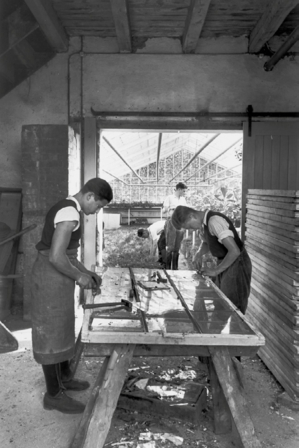 View from the workshop into one of the adjacent hothouses. In the foreground apprentices are repairing the cover of a hotbed.
