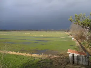 Wiese, auf der Wasser steht, dunkler Himmel, bei Sonnenlicht, Gewitterstimmung
