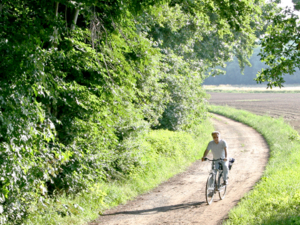 Ein Radfahrer fährt auf einem Feldweg. Im linken Teil des Bild ist Wald, hinten rechts ist ein Feld zu erkennen.