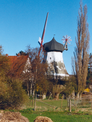 Weisse Windmühle vor blauem Himmel
