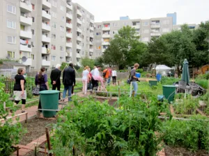 Bilder von der Sitzung des Internationalen Ausschusses in den Internationalen G&auml;rten am 5. Juil 2012.