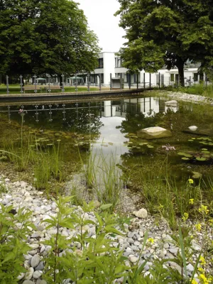Der Teich am Pflegezentrum Heinemanhof