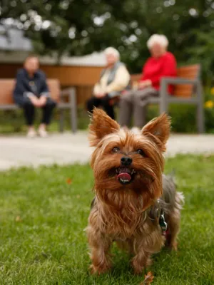 Hundebesuch im Willy-Platz-Heim