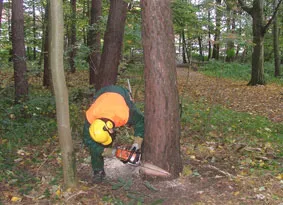 Forstwirt bei der Arbeit