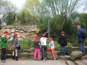 Sechs Kinder mit einer erwachsenen Begleitung beim Ausflug im Zoo