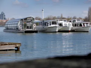Vier Schiffe auf dem Maschsee