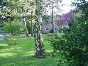 Baum vor Verwaltungsgebäude