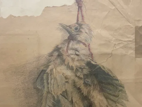 Zu sehen ist eine Zeichnung eines Huhnes auf braunem Papier, das um den Hals eine gespannte rote Schnur hat.