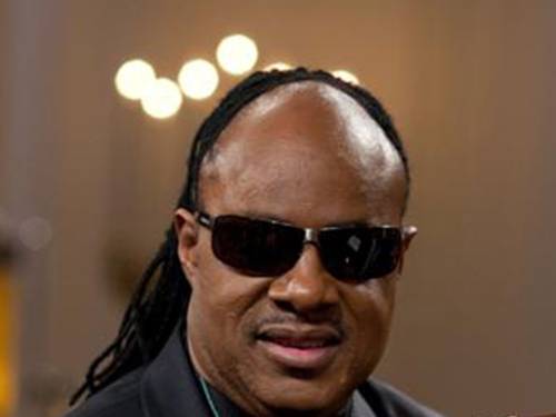 Der Sänger Stevie Wonder