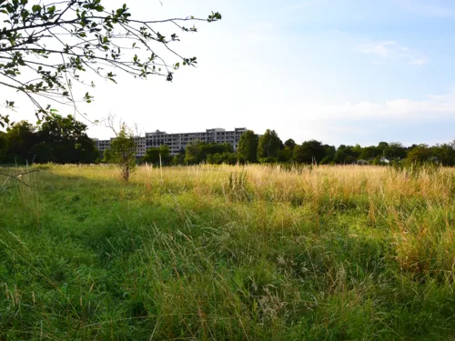 Ein Areal im Grünen. Im Hintergrund ein Gebäude.