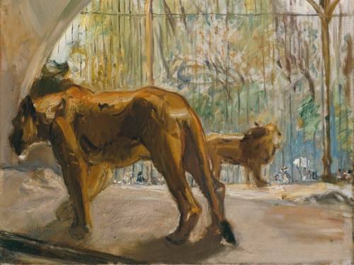 Zu sehen ist ein Ölgemälde auf Leinwand eines schreitenden Löwen im Zoo, gemalt vom Max Slevogt.