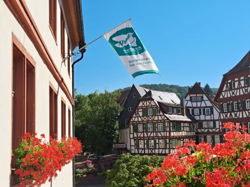Die Mayors for Peace Flagge weht am 8. Juli am Mosbacher Rathaus
