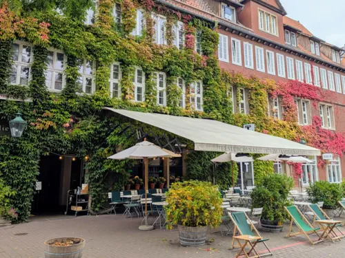 Bild von einem Kaffee in altem Haus mit viel Wein an der Fassade.
