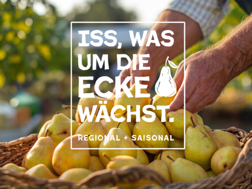 H&auml;nde sortieren Birnen in einem Korb