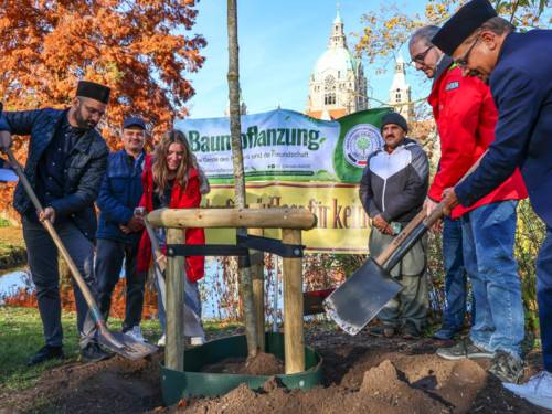 Menschen beim Pflanzen eines Baums im Maschpark von Hannover.