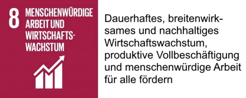 SDG 8 mit Beschreibung