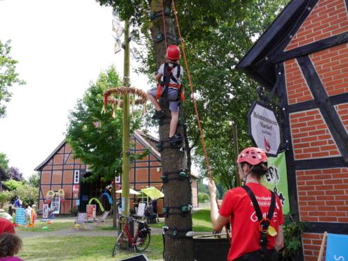 Klettererlebnisse beim Mardorfer Familiensommmer