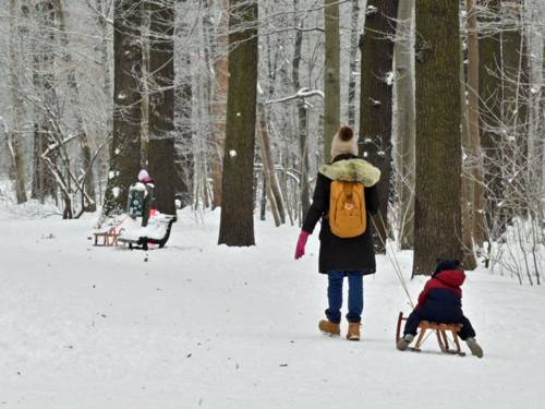 Eine Frau zieht einen Schlitten mit einem Kind durch die verschneite Eilenriede.
