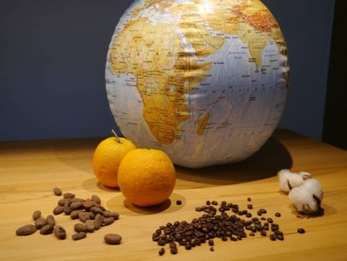 Ein Globus. Davor eine Orange, Baumwolle, Kaffeebohnen und Kakaobohnen.
