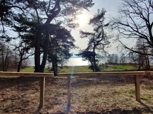 Blick über eine Binnendüne auf das Steinhuder Meer.