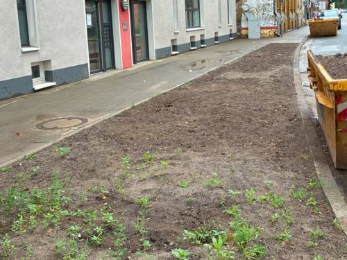 Blick auf ein Beet in einer Straße.