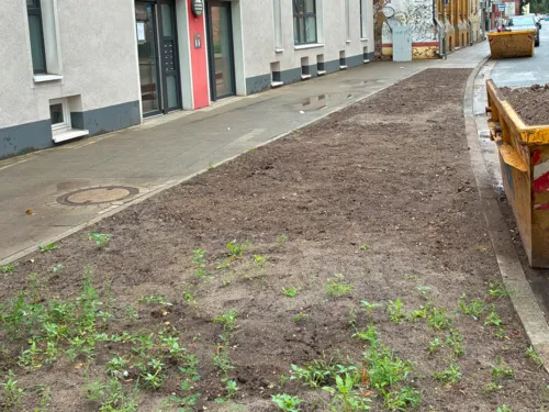 Blick auf ein Beet in einer Straße.