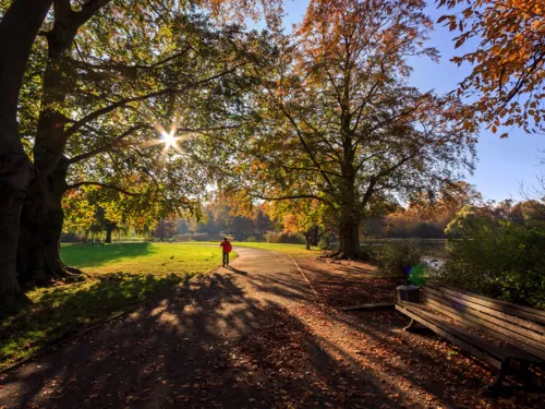 Mann spaziert im sonnigen Maschpark im Herbst.