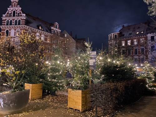 Aufgestellte Tannen mit Beleuchtung am Weißekreuzplatz