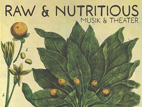 Plakat mit einer gemalten Pflanze und der Schrift Raw & Nutritious Musik & Theater
